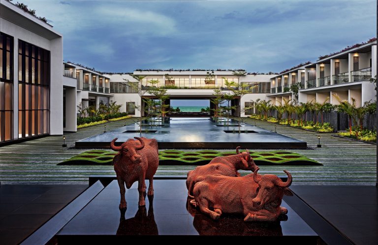 Sheraton Grand Chennai Water Buffalo